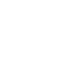 White analytics icon