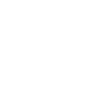 White passenger van icon