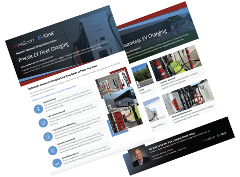 Thumbnail image of an informational flyer